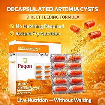 Decapsulated Artemia Fish Food Coral Guppies Salem Tamil Nadu