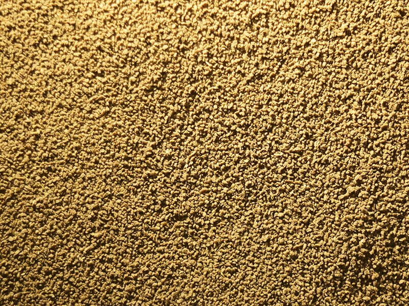 Guppy Growth Food Coral Guppies Salem Tamil Nadu