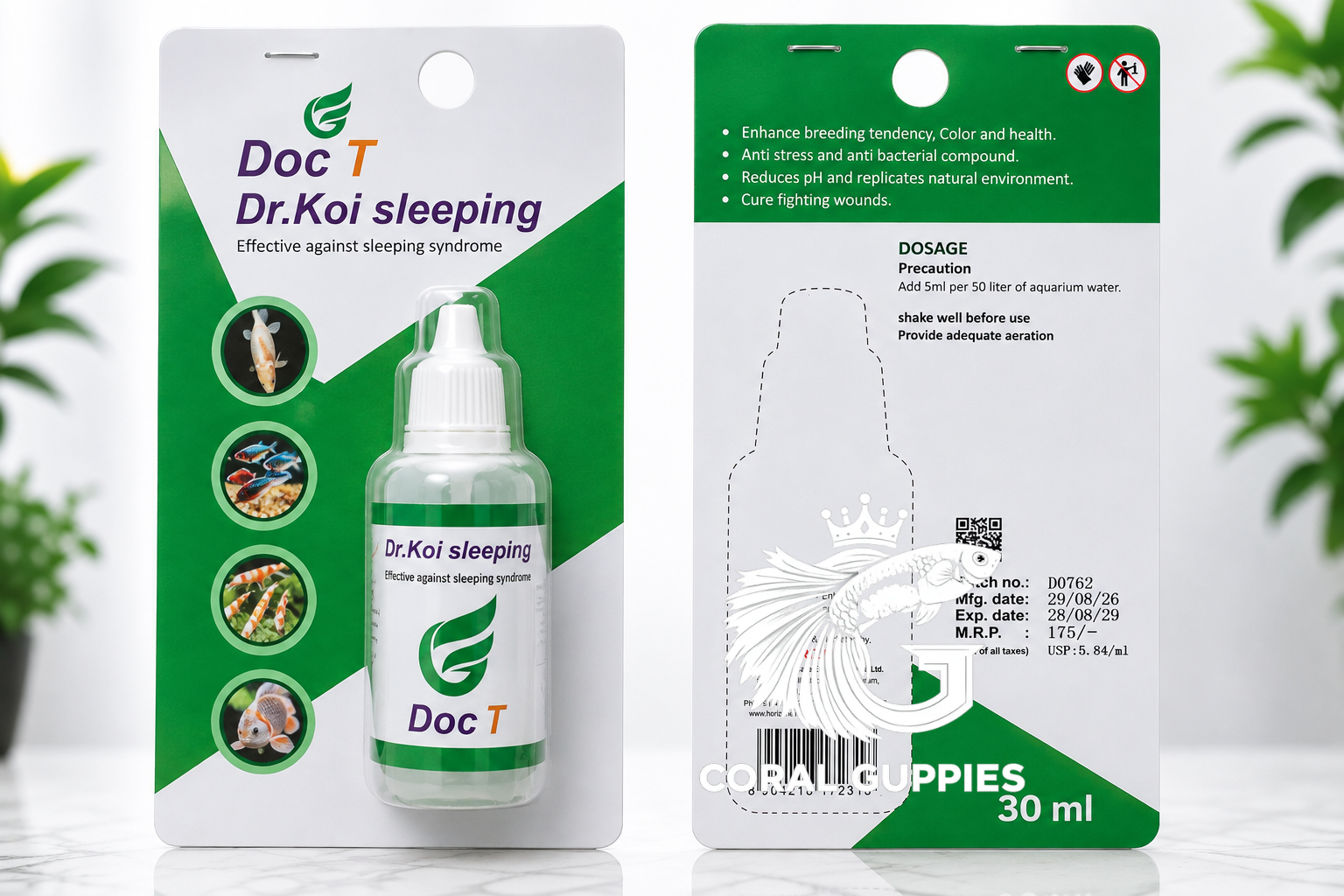 Dr. Koi Sleeping