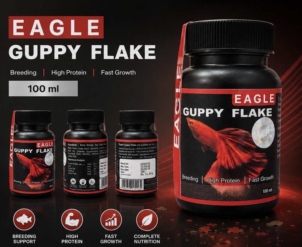 Buy Eagle Guppy Flake Food Online - Aquarium Shop India