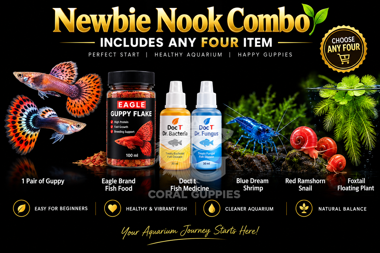 Newbie Nook Combo