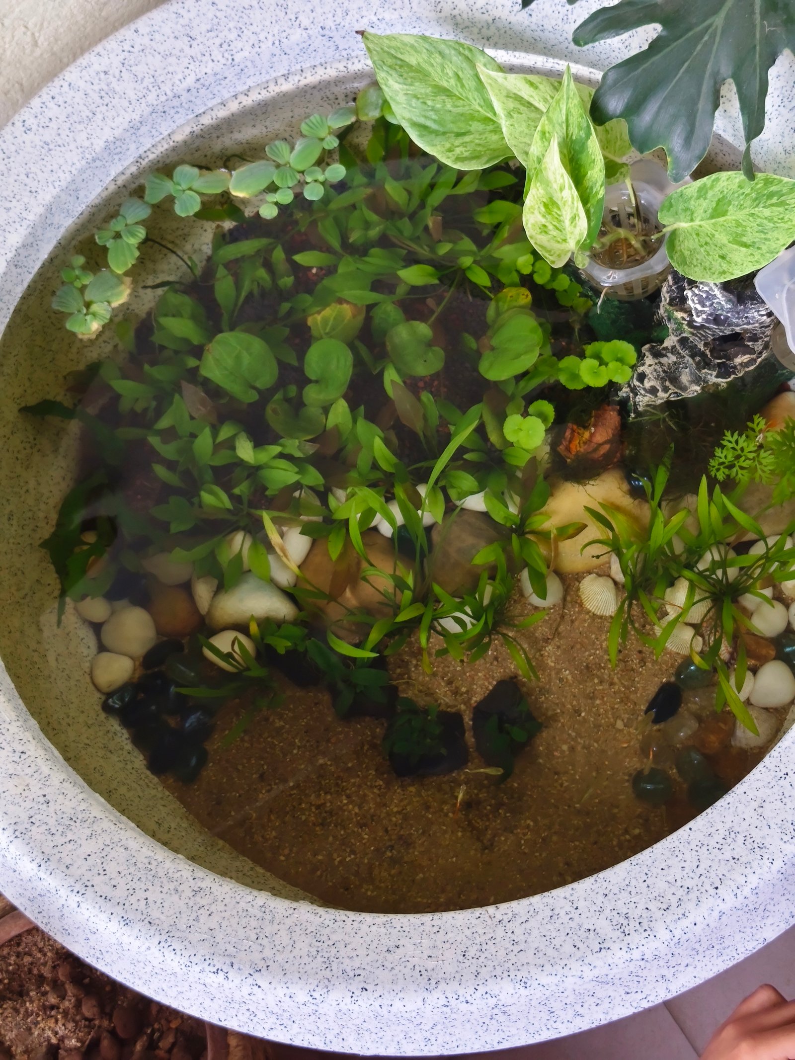 Customer Tank Setup
