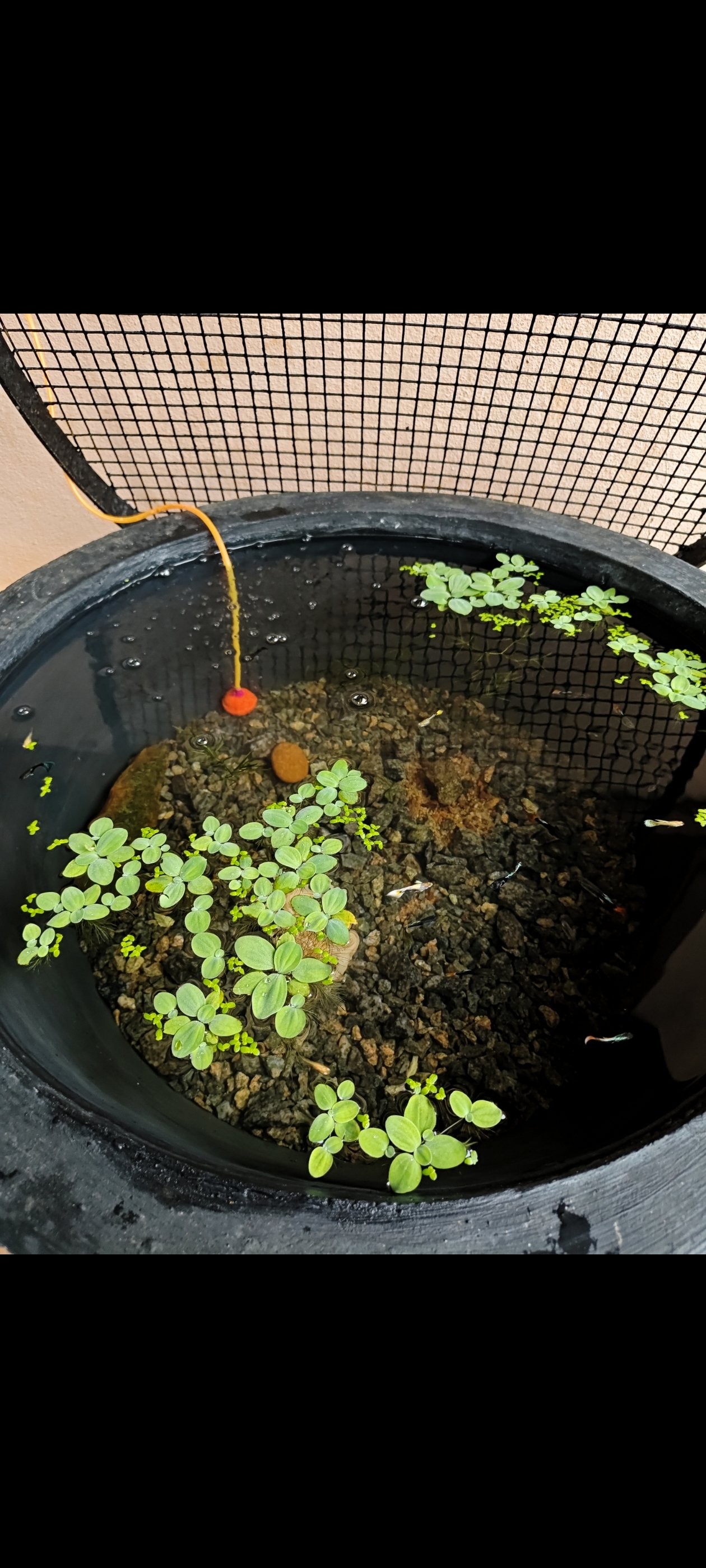 Customer Tank Setup
